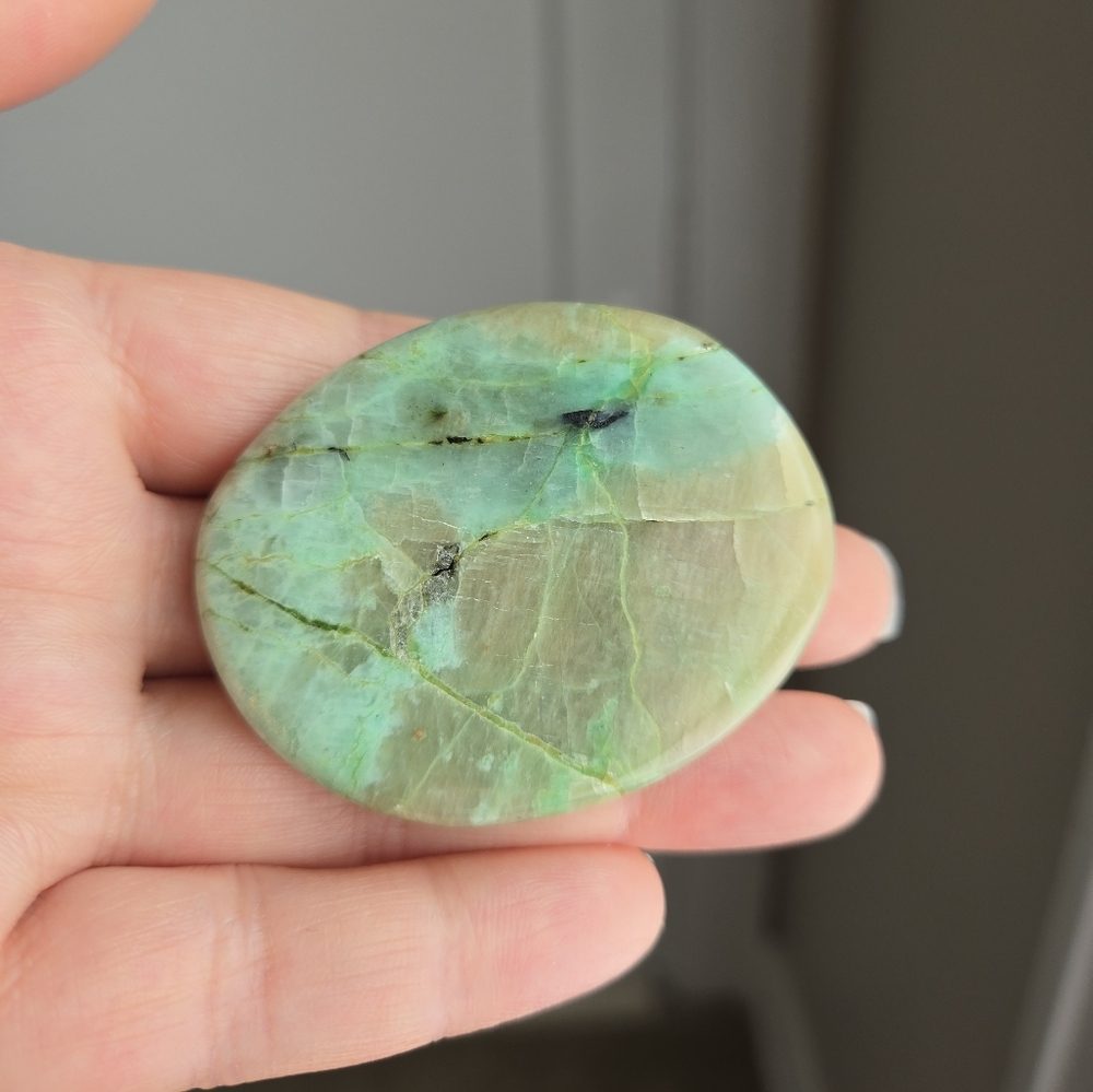 Garnierite Palm Stone